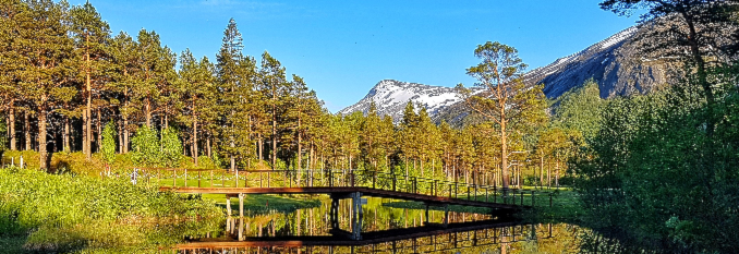 Ti på Topp Narvik 2021